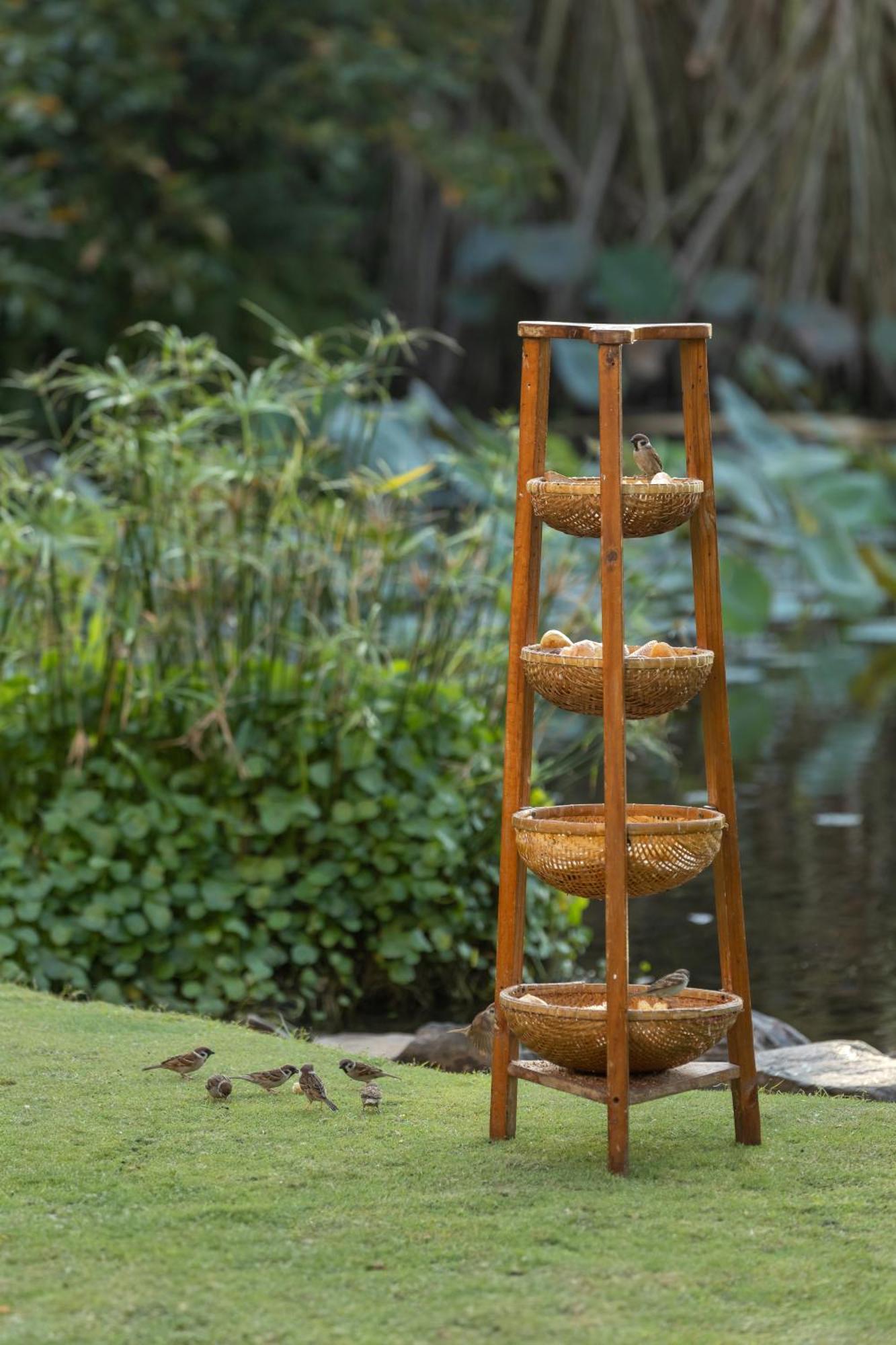Anantara Mui Ne Resort Buitenkant foto